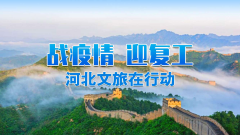 沧州市文化广电和旅游局大力推进公共文化场所爱国卫生运动